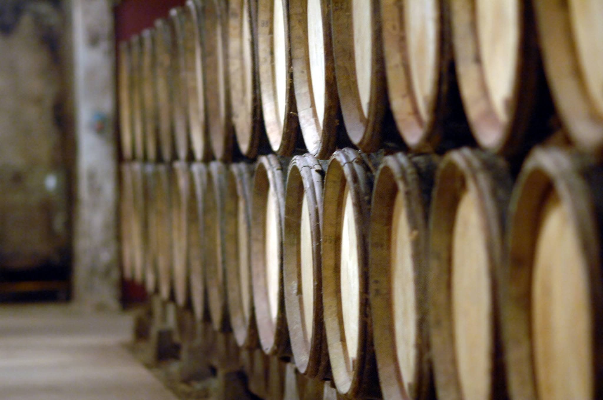 Rows of oak barrels in a Burgundy cellar, supplied by Flint Wines.